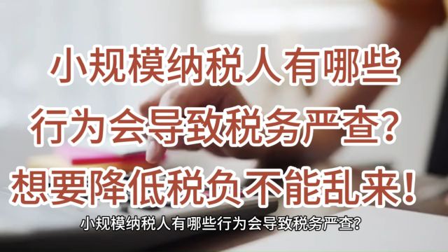 小规模纳税人有哪些行为会导致税务严查?想要降低税负不能乱来!