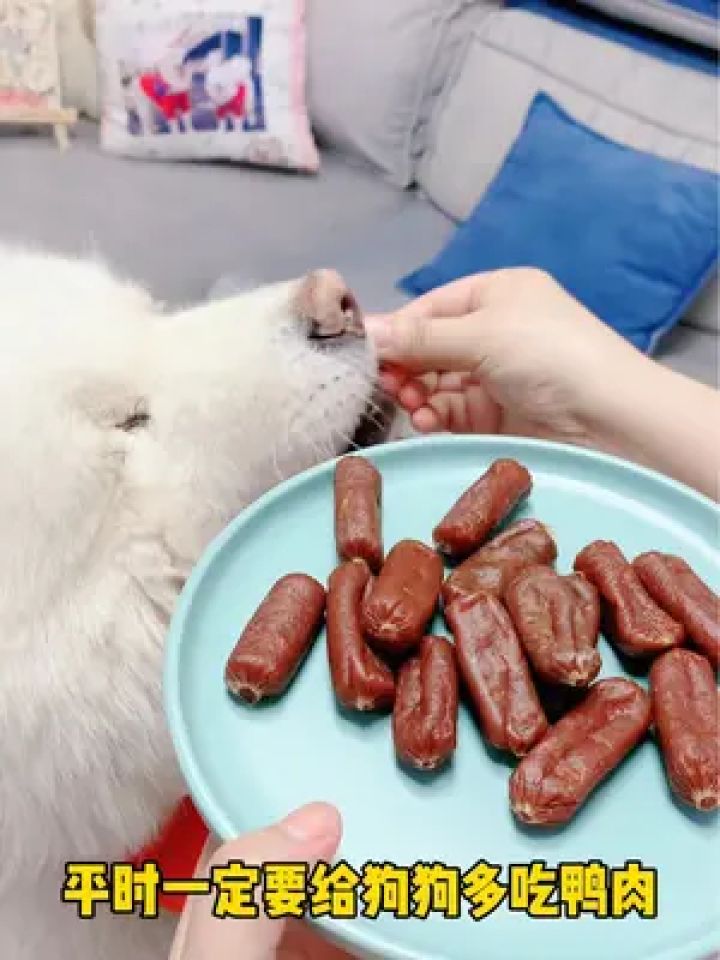 美味又解馋的风干香肠,肉质紧实软硬适中,狗狗吃的嘎嘎香#萌宠好物