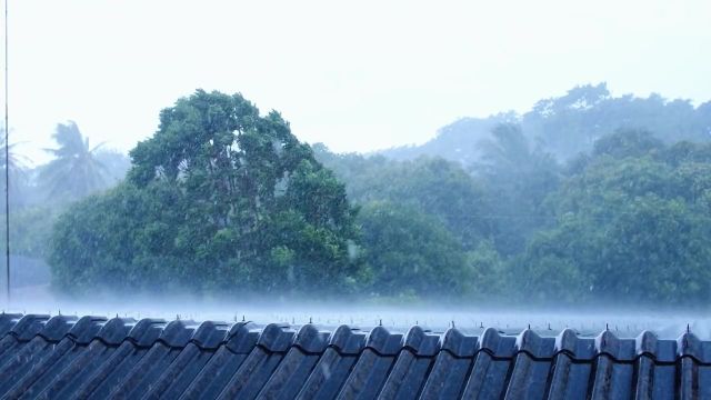 又是谁的深情感动了天津#暴雨 #台风杜苏芮将影响天津 #天津暴雨