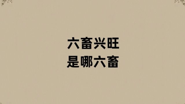 六畜兴旺是哪六畜?