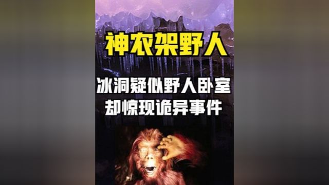 神农架真有野人存在?这个石洞疑似野人卧室,却惊现诡异事件