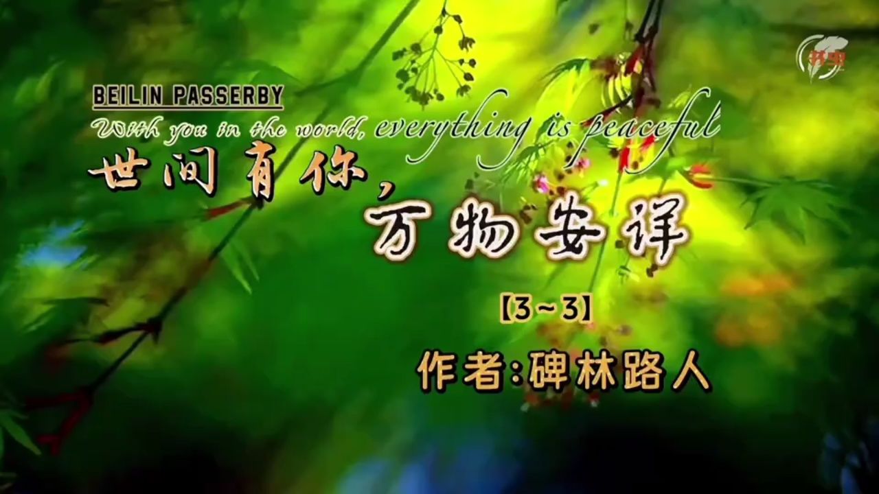 【兢山之声】世间有你 万物安详(3)/碑林路人作品/散文诗朗诵