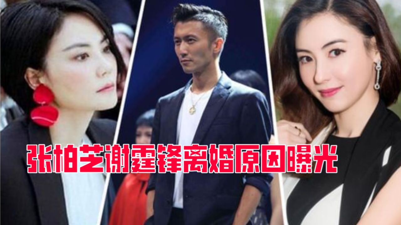 看看张柏芝再看看王菲,两人根本不在一个档次,难怪谢霆锋要离婚