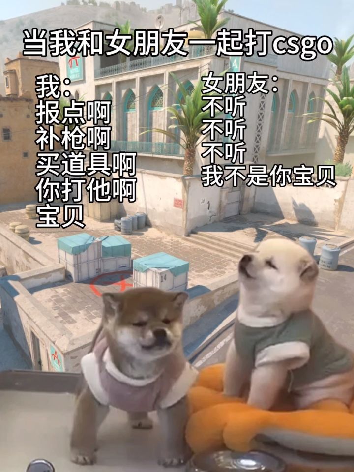 当我和女朋友一起打csgo