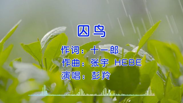 经典歌曲 第11集《囚鸟》彭羚