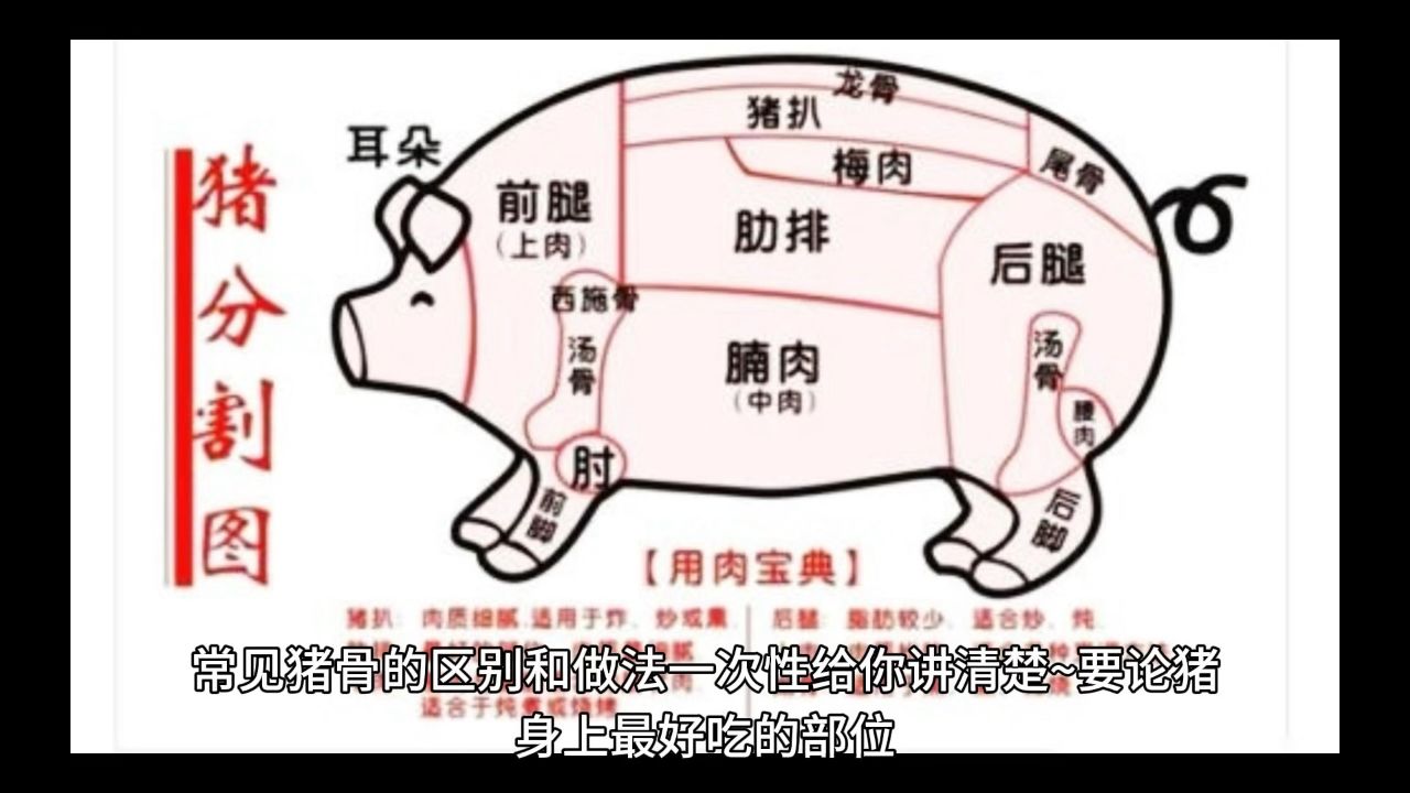 猪骨各部位的区别和做法