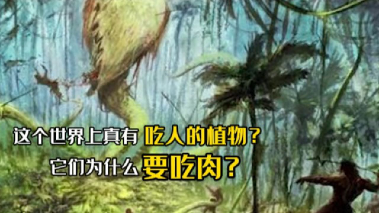 这个世界上真有吃人的植物吗?它们为什么要吃肉?