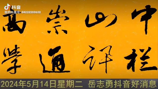 湖南省邵阳市双清区渡头桥镇东城村十七组金鸡塘组离宝隆严业城200米处岳志勇作品简介