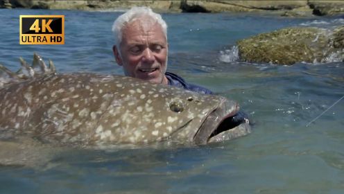 杰瑞米瓦德：巨型石斑鱼会是食人鱼海怪吗？