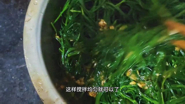 猪毛菜,快来尝试一下这个农村味道吧