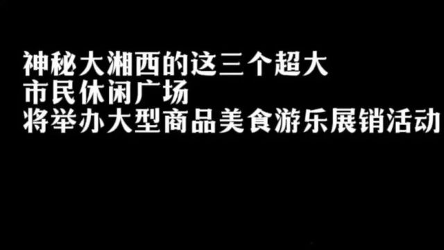 在湖南湘西自治州龙山、花垣、永顺三个县举办大型商品展销会,谁更胜一筹?