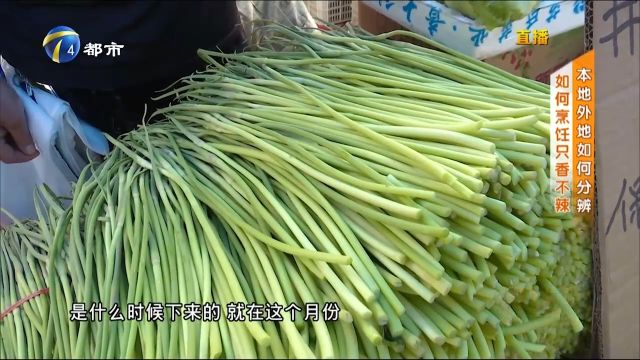 本地外地蒜毫如何分辨,怎样烹饪才只香不辣?听听大厨怎么说