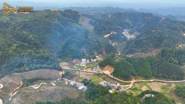 “携手同心ⷥ勨🛦–𐥾程”第五届三月三网络短视频大赛|大山里的“冬梅”