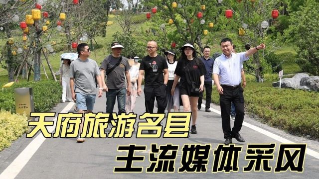 夏之火丨中央、省市主流媒体组团采风!龙泉驿“出彩”又 “出圈”