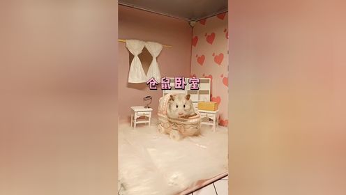 你们期待已久的这个房间终于来啦…_高清1080P在线观看平台_腾讯视频