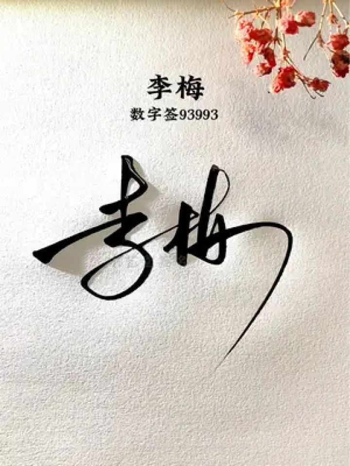 简单又漂亮的连笔签名 李梅,数字签93993,这样你也可以很快学会,还有