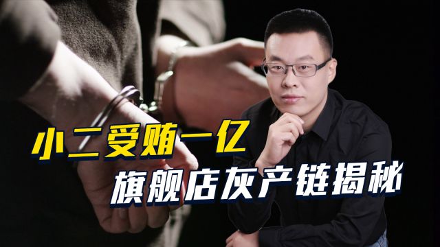 小二受贿一亿,旗舰店灰产链揭秘,互联网大厂咋反腐?