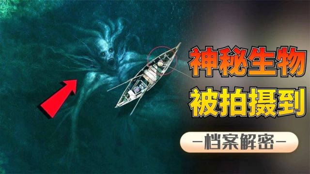 六大神秘生物:体长305米的深海巨怪,是未知生物还是乌龙事件?