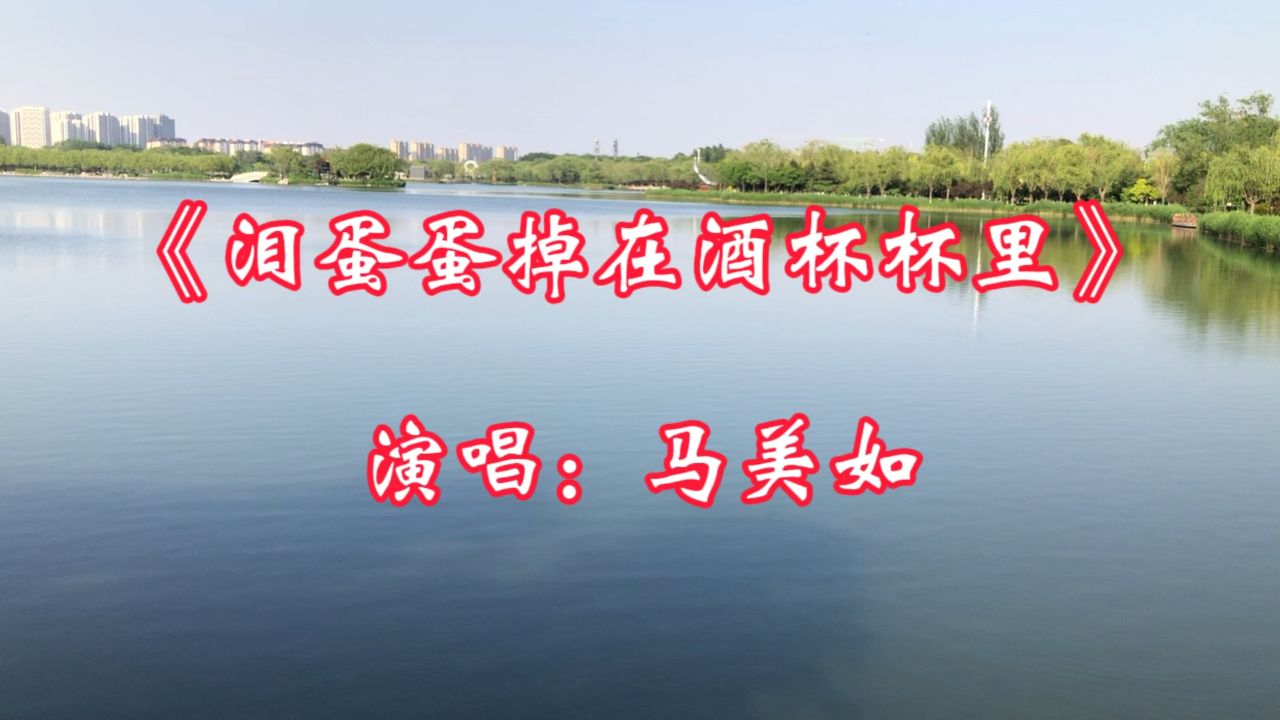 陕北歌曲《泪蛋蛋掉在酒杯杯里》,马美如演唱