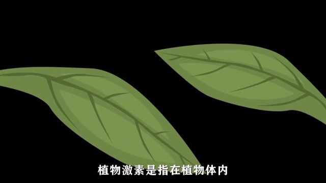 六大植物激素的作用