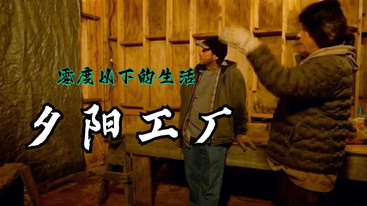 零度以下的生活:猎人里科用索套弹簧陷阱抓捕两只雪地野兔