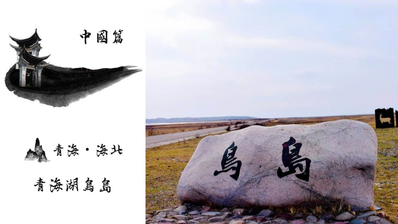 青海湖鸟岛!青藏高原首个水禽保护区!亚洲地区特有的鸟类王国!