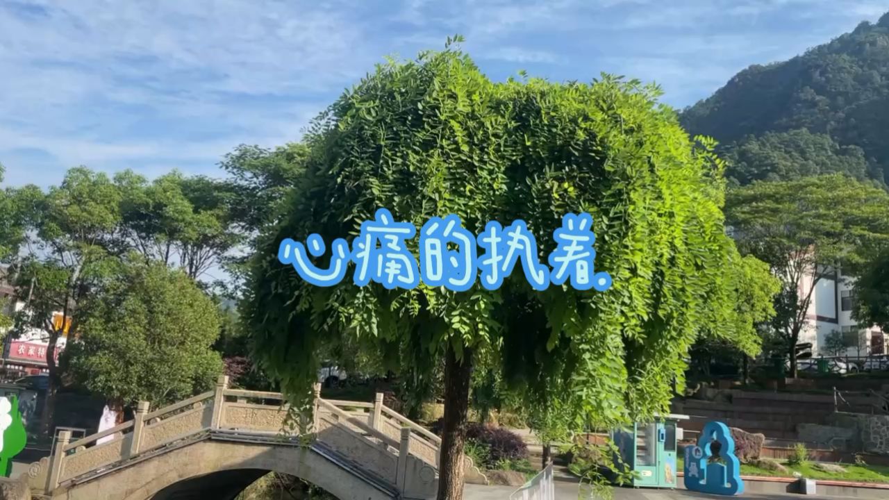 心痛的执着