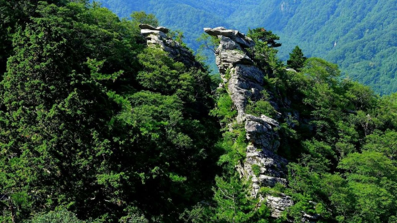 朱雀国家森林公园,山中森林茂密风景秀丽