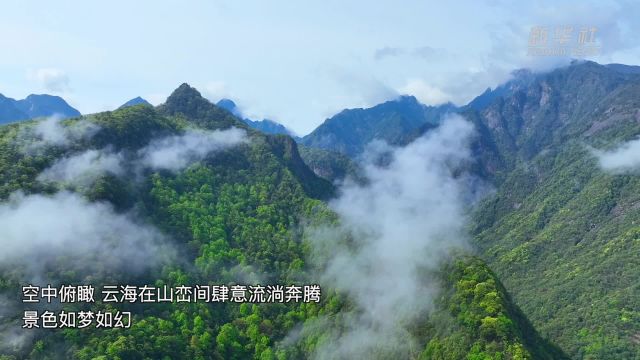 安徽池州:云绕山峦景如画