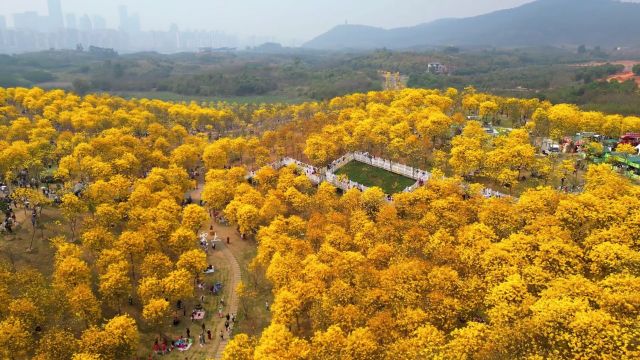 世界桂林,中国柳州,广西南宁,南宁你了解多少呢,一分钟带你了解南宁.