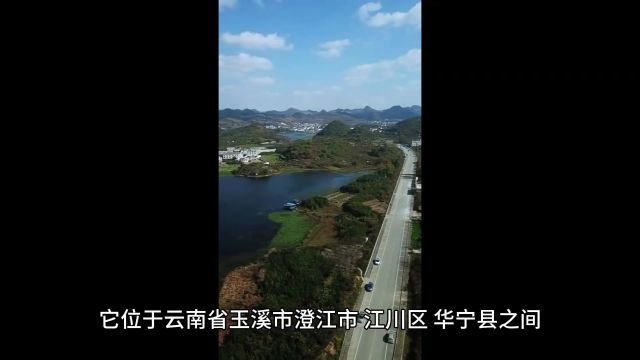 抚仙湖是中国第几大淡水湖泊