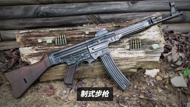 作为二战德国的制式步枪 STG44性能到底怎么样? #武器