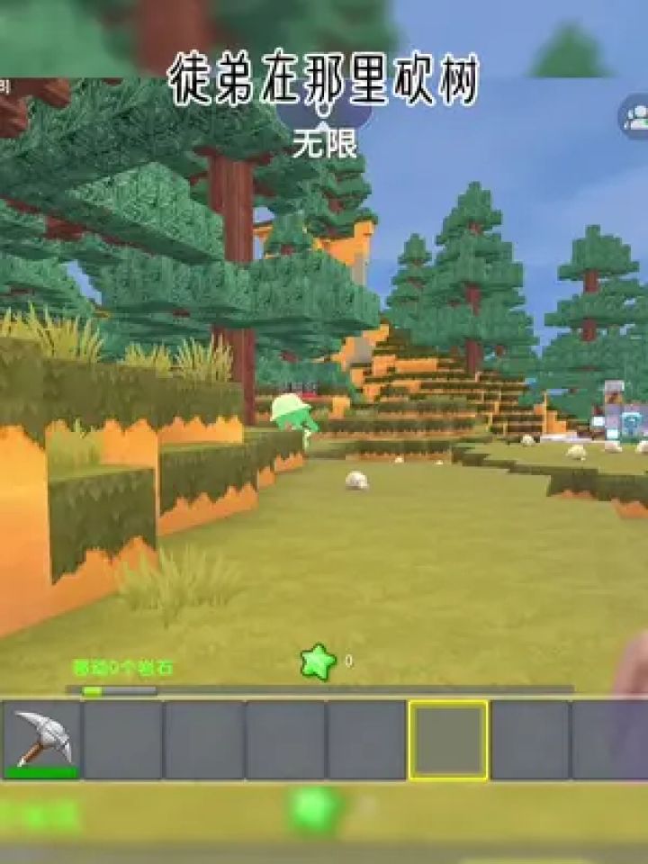 抖在迷你绽放 #龙宝和萌柚 #迷你世界龙宝 #迷你世界