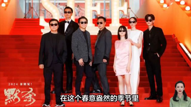 《默杀》震撼上映,悬疑迷雾下的演技盛宴,你准备好了吗?