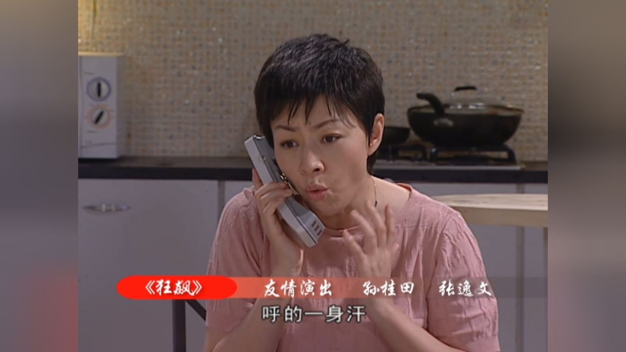 《家有儿女》41-1 狂飙1