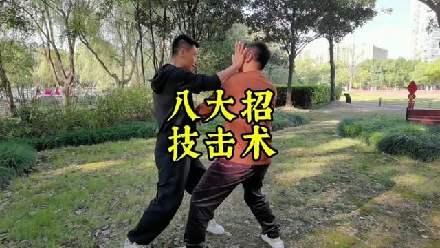 八大招技击术 #创作灵感 #八极拳 #一招制敌