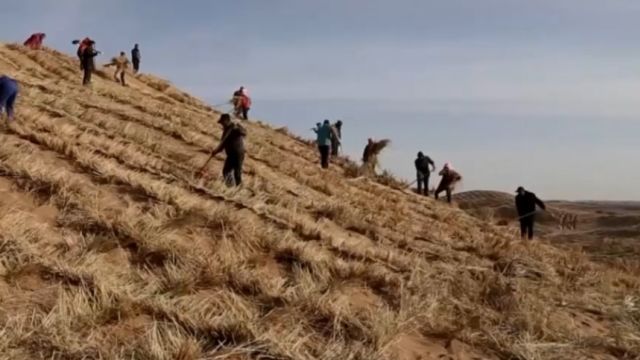 习近平生态文明思想,经过长期地方检验实践之后,上升到治国理政的重要思想