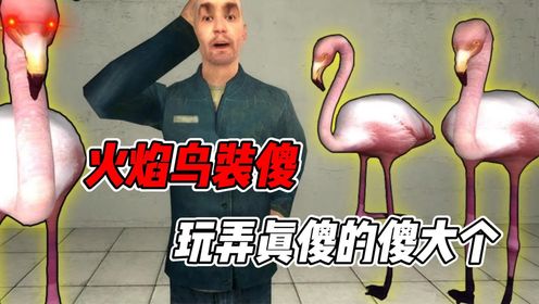 火焰鸟奇遇：傻大个悄咪咪接触火焰鸟，结果倒霉了_高清1080P在线观看平台_腾讯视频