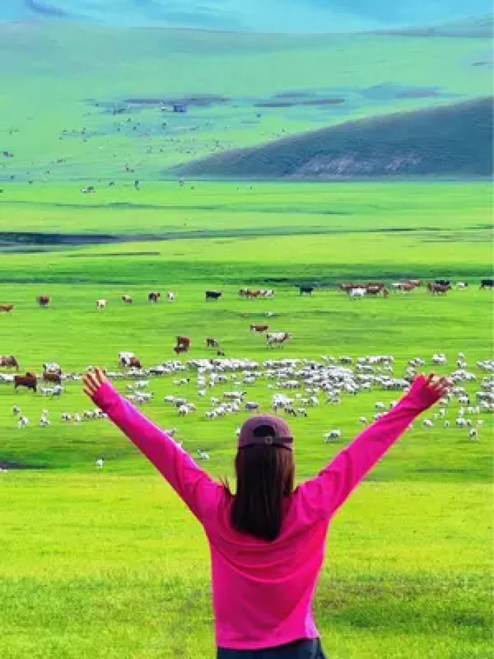 这个夏天总要来一趟草原吧 #呼伦贝尔旅游攻略 #夏天总要去趟大草原吧