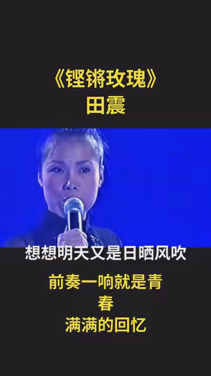 田震《铿锵玫瑰》 #甄选经典老歌 #一首歌一段情