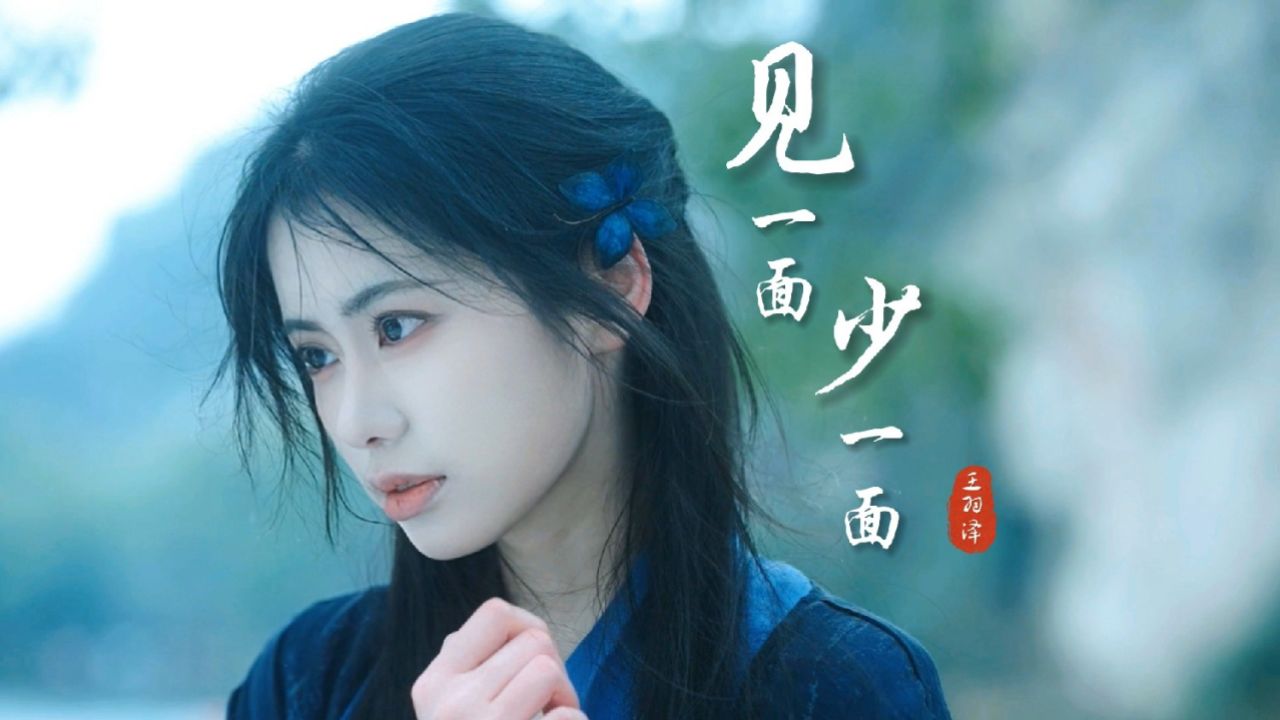 王羽泽原唱《见一面少一面》，今生两情难相见，能见一面见一面_高清1080P在线观看平台_腾讯视频