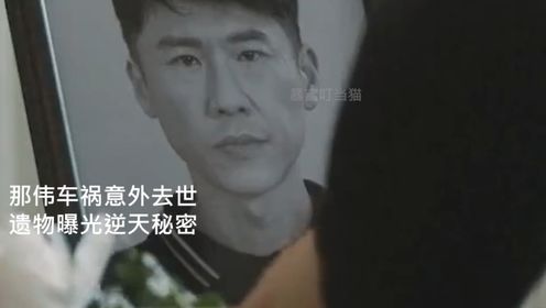 凡人歌：那伟车祸意外去世，遗物曝光逆天秘密，沈琳崩溃不敢相信