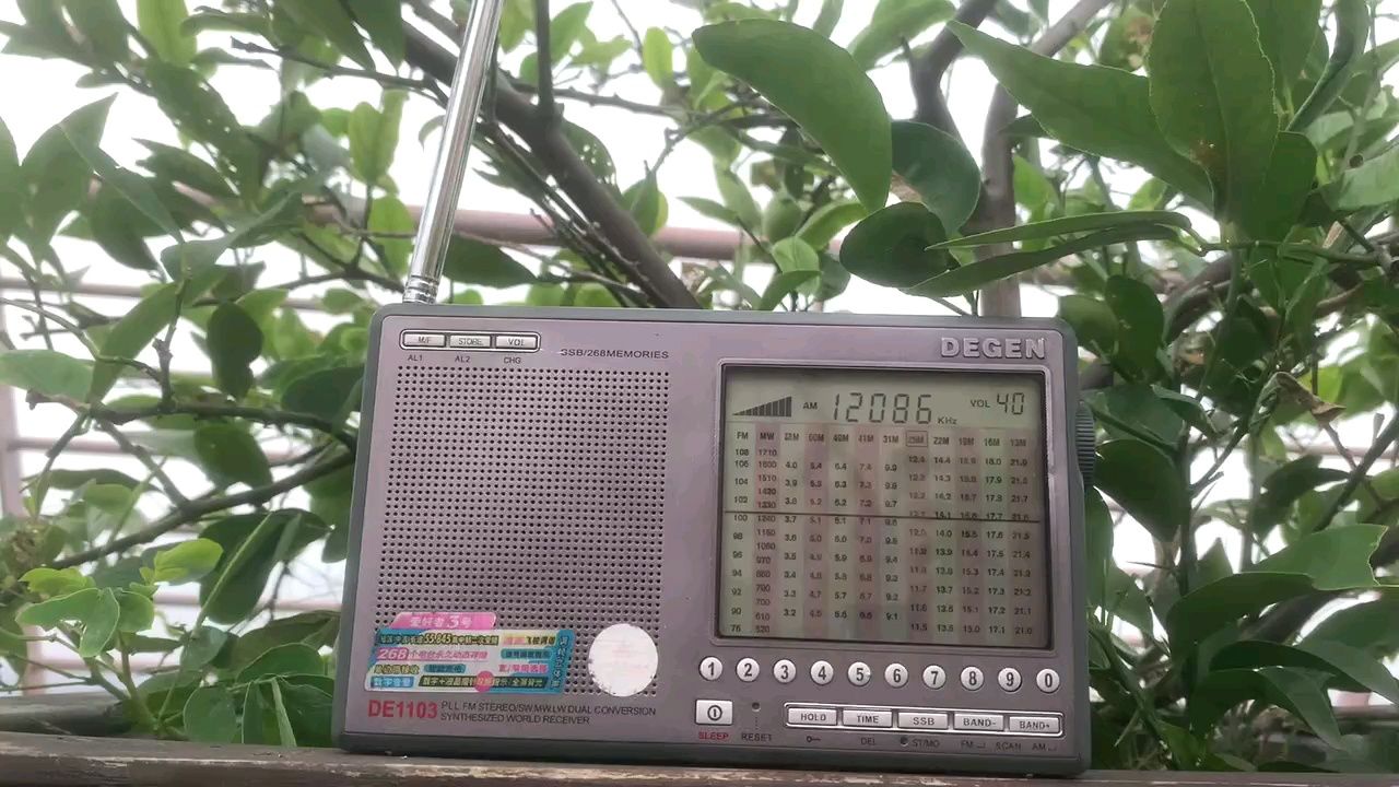 德劲de1103(二变版)成都收听短波12085khz蒙古之声.