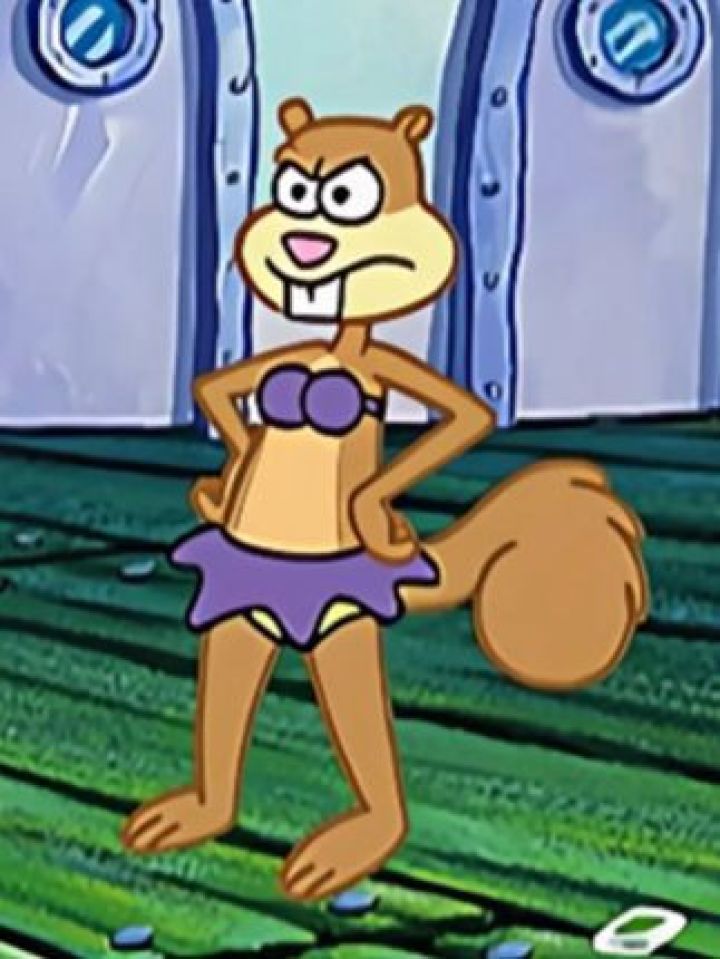 派大星:珊迪竟然是个女孩#海绵宝宝第2季 #鹅滴神片