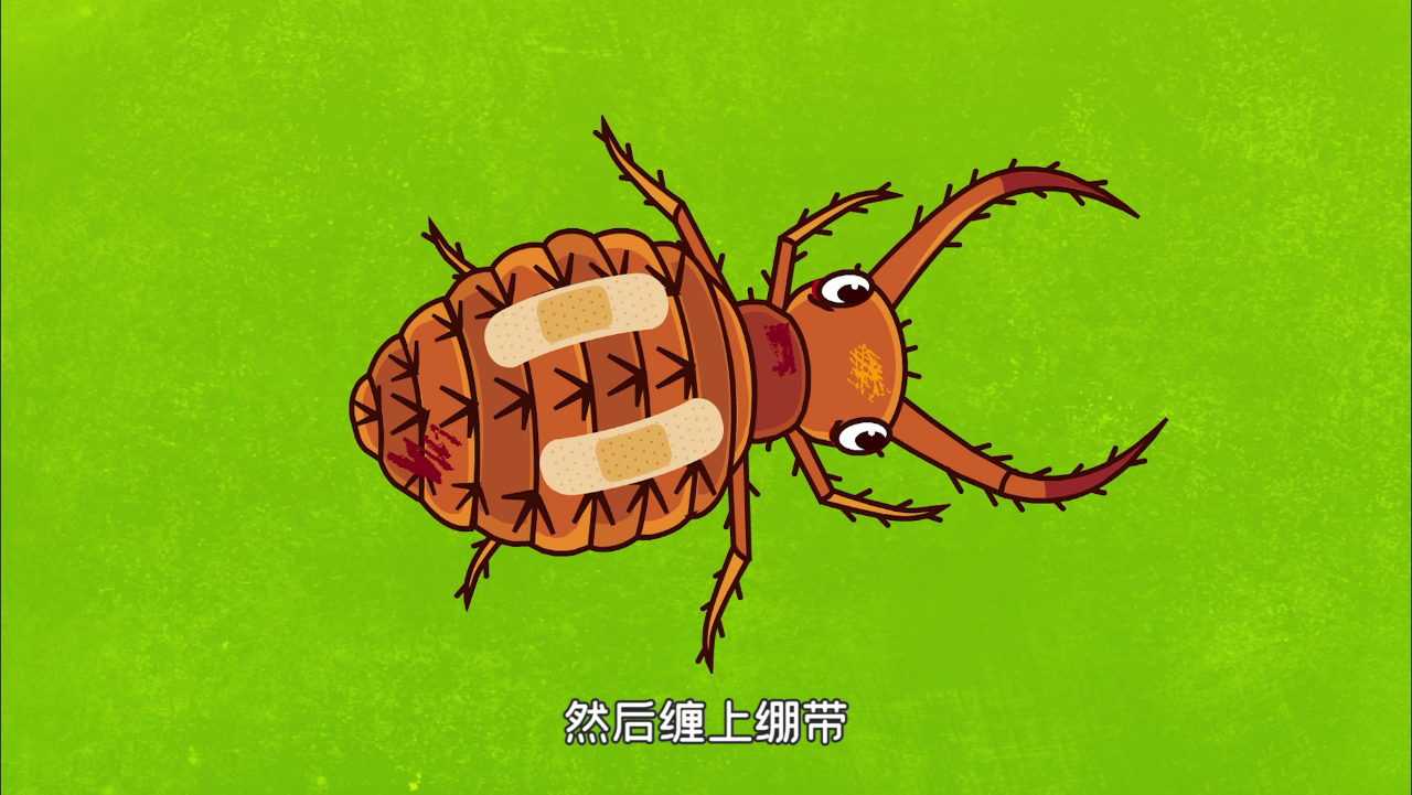 动物世界之昆虫救援队第二季 12集