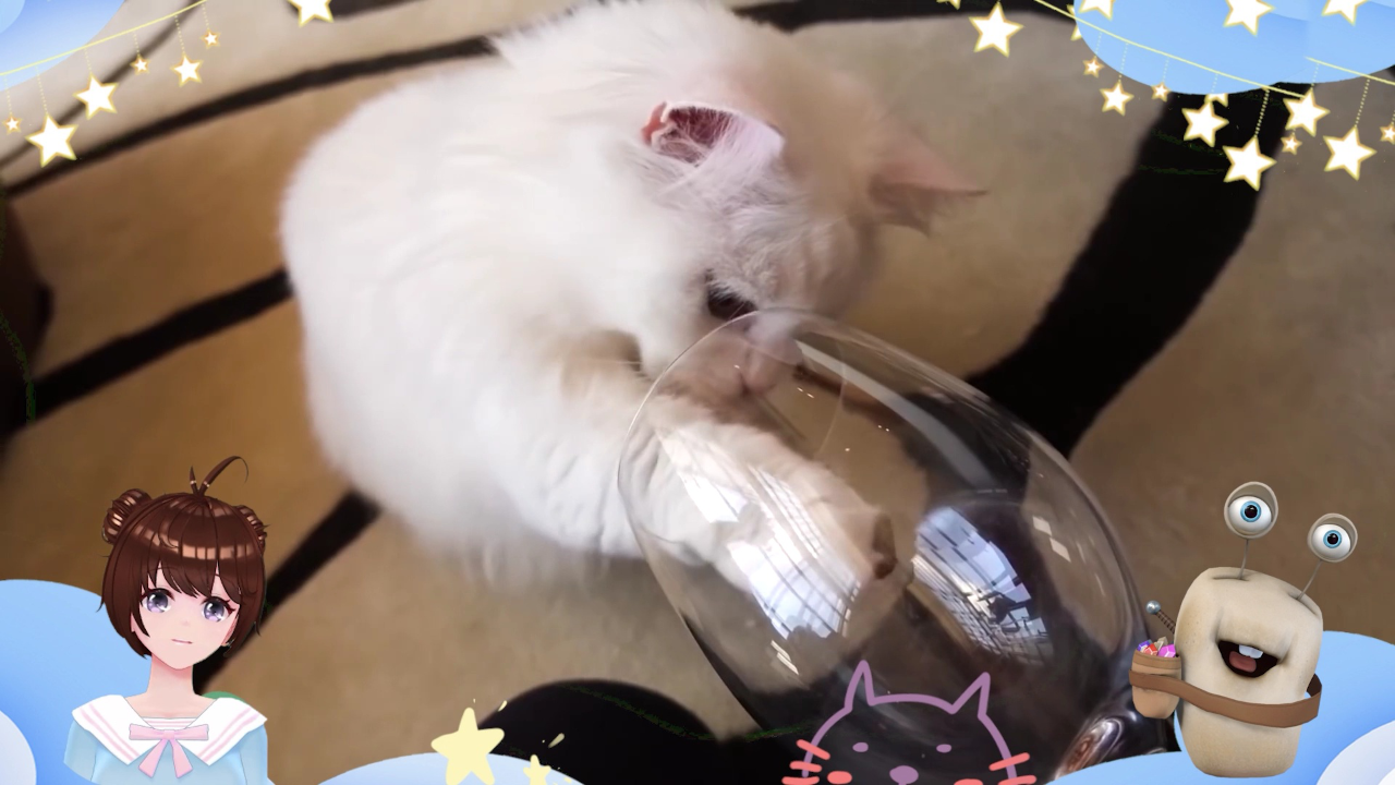白白侠的猫咪朋友 5集