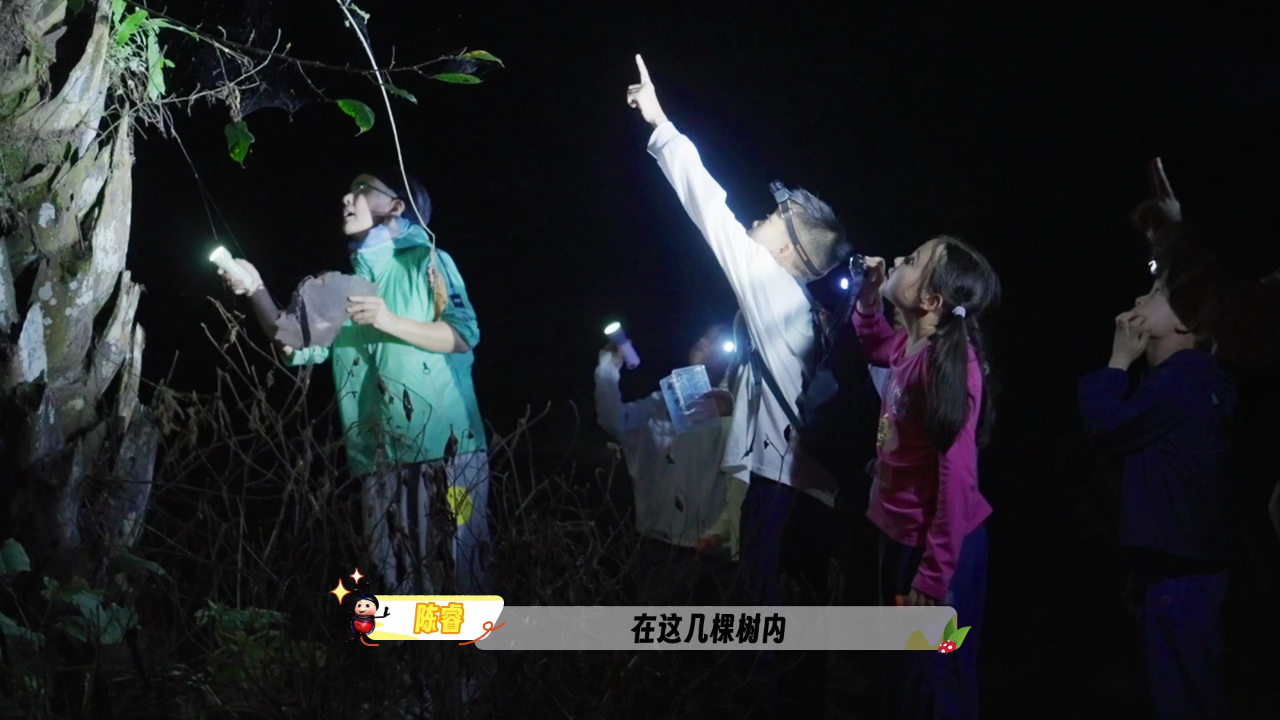 金龟子带你看世界 7集