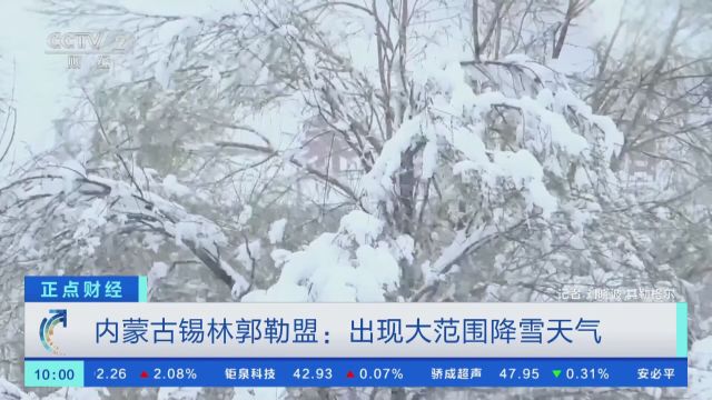 内蒙古锡林郭勒盟:出现大范围降雪天气