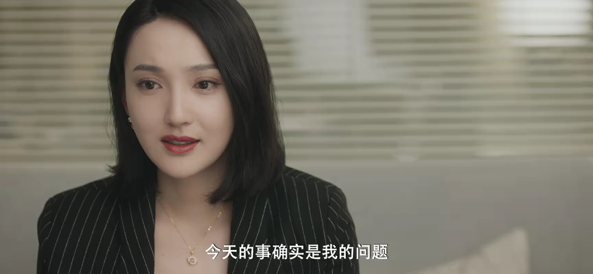 令总无恙 28集