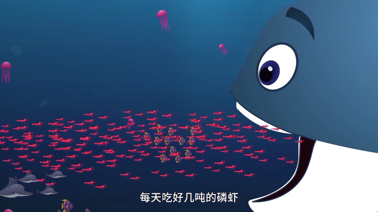 初初宝贝儿歌第二季英文版 11集